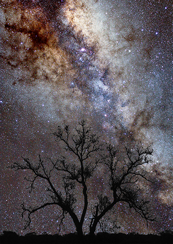 Galactic Tree