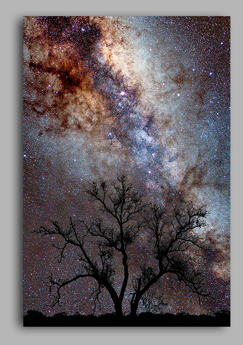 The Galactic Tree on stretched canvas
